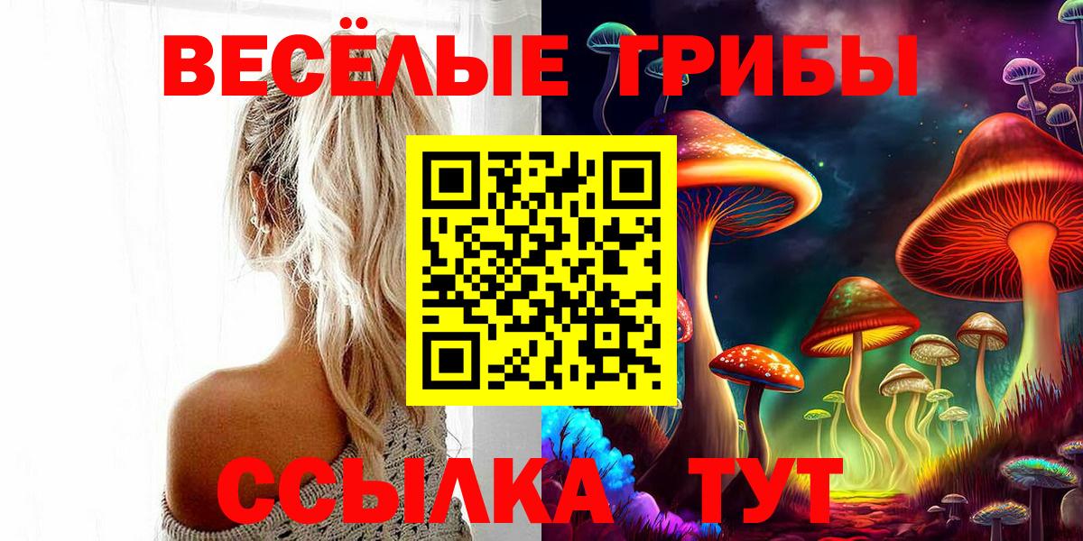 Галлюциногенные грибы Cubensis Воронеж